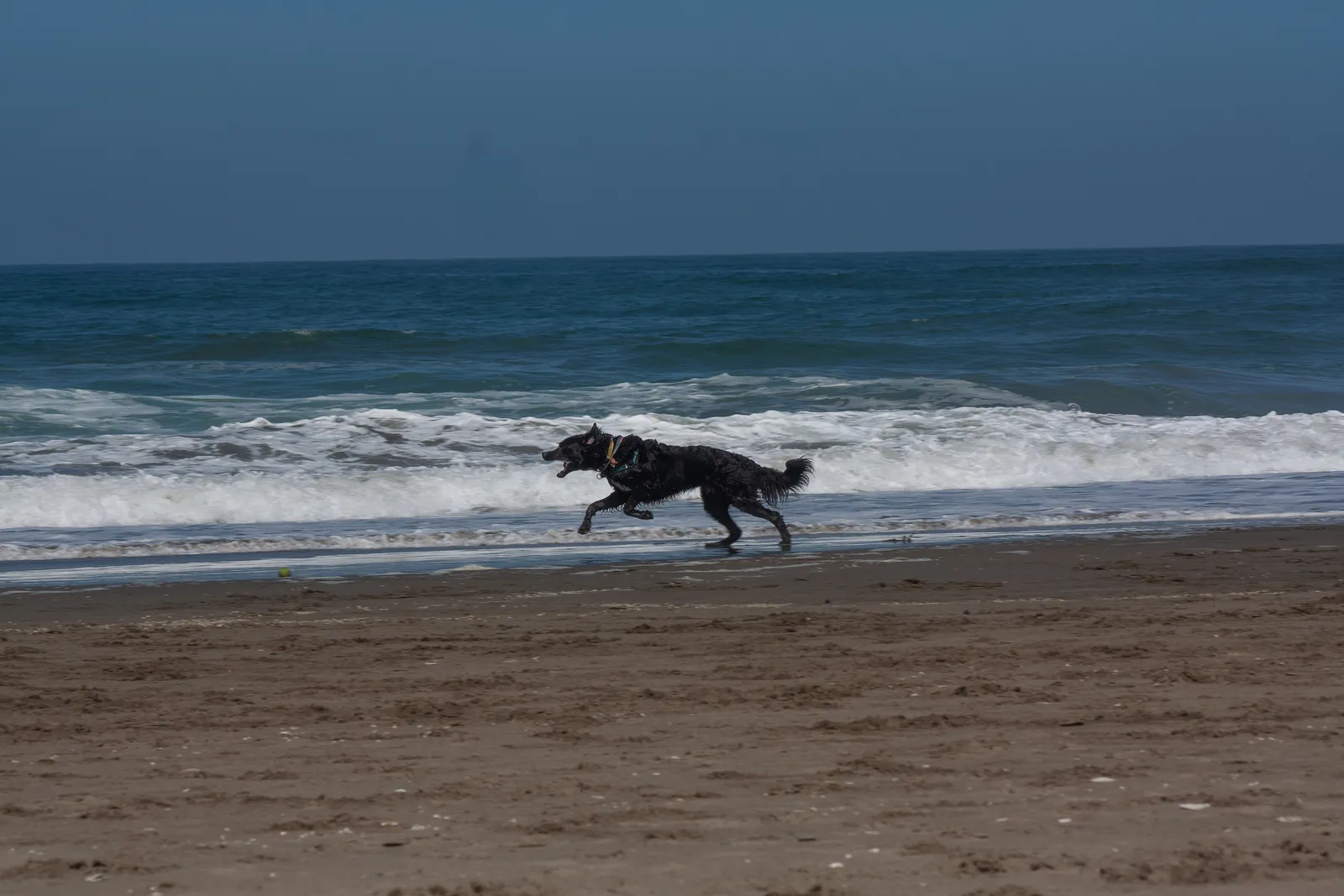 Fort Funston — IMG 0081