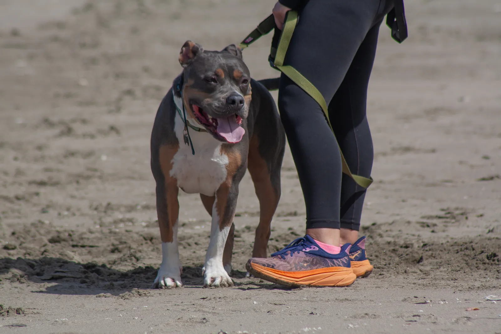 Fort Funston — IMG 0156
