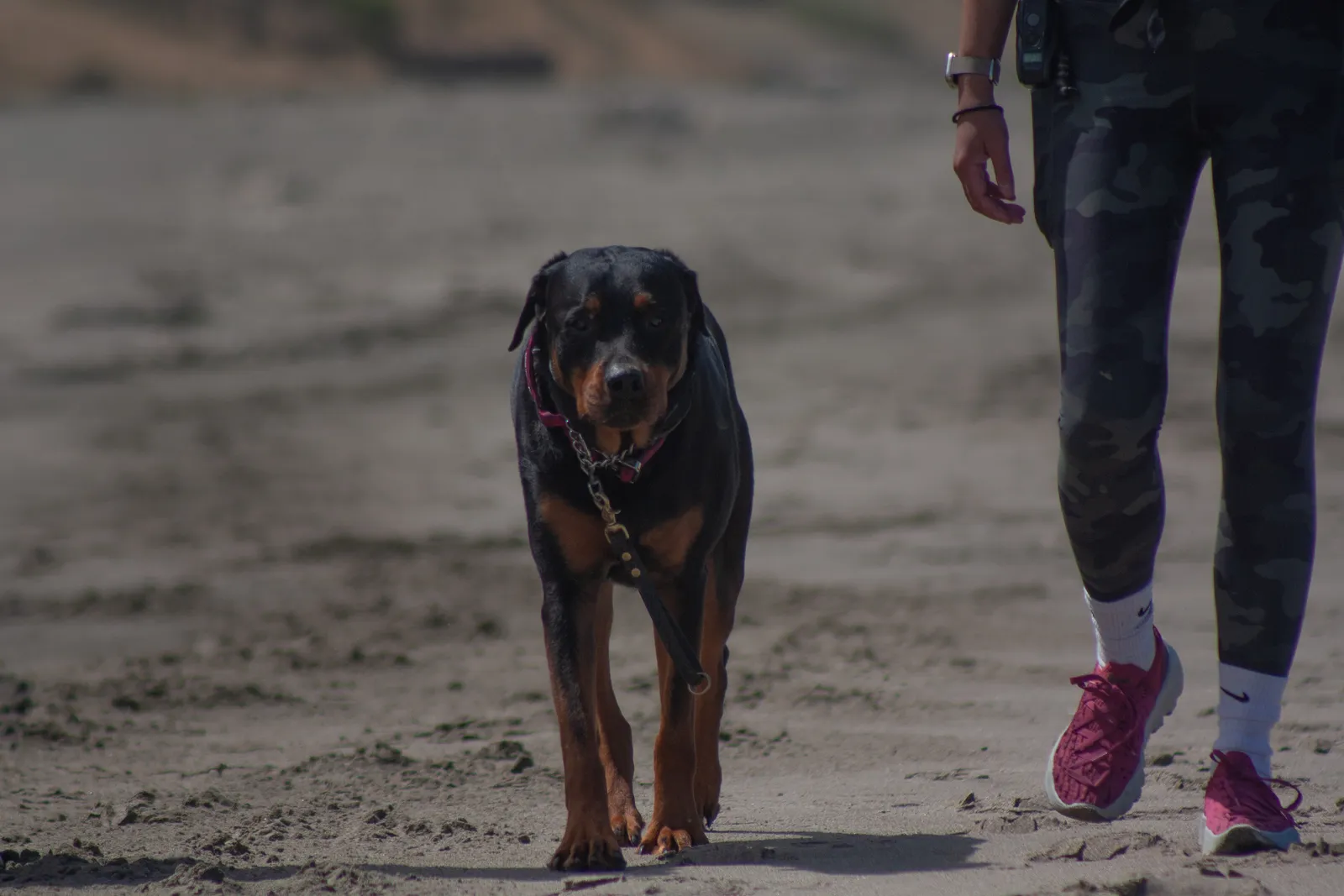 Fort Funston — IMG 0277