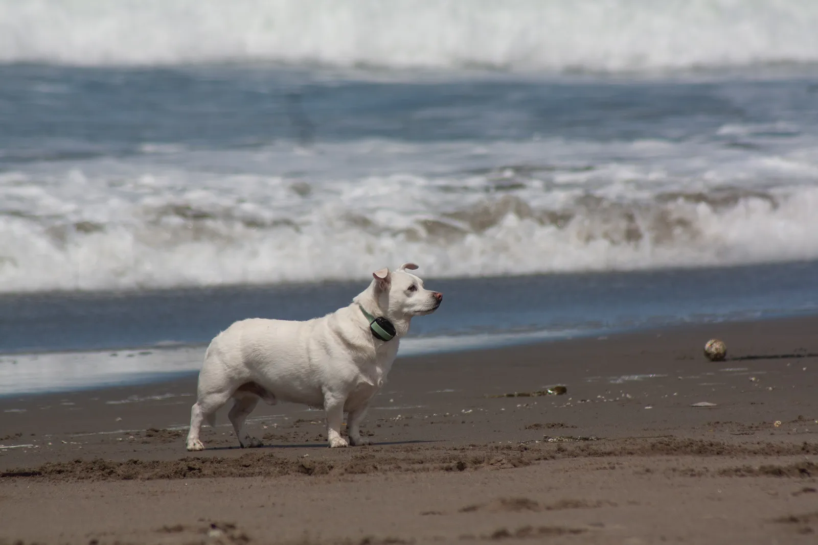 Fort Funston — IMG 0434