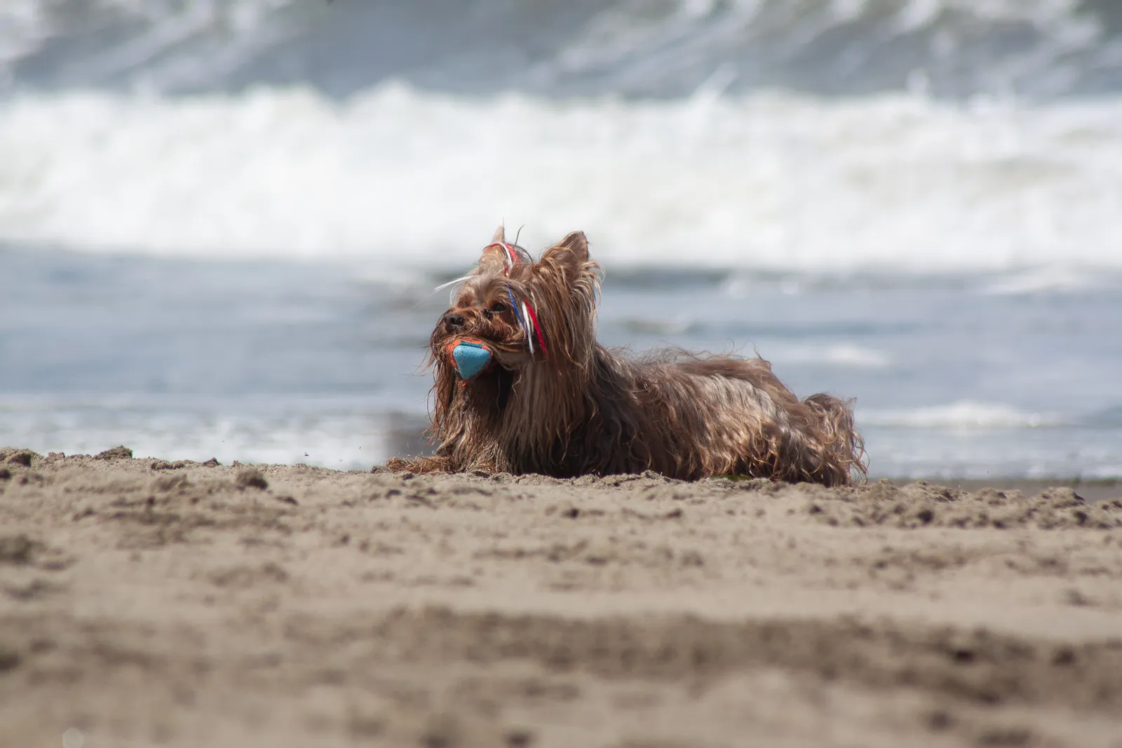 Fort Funston — IMG 0448
