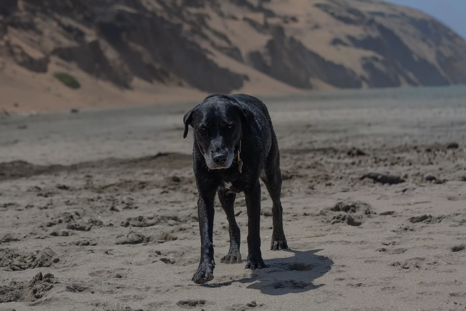 Fort Funston — IMG 0489